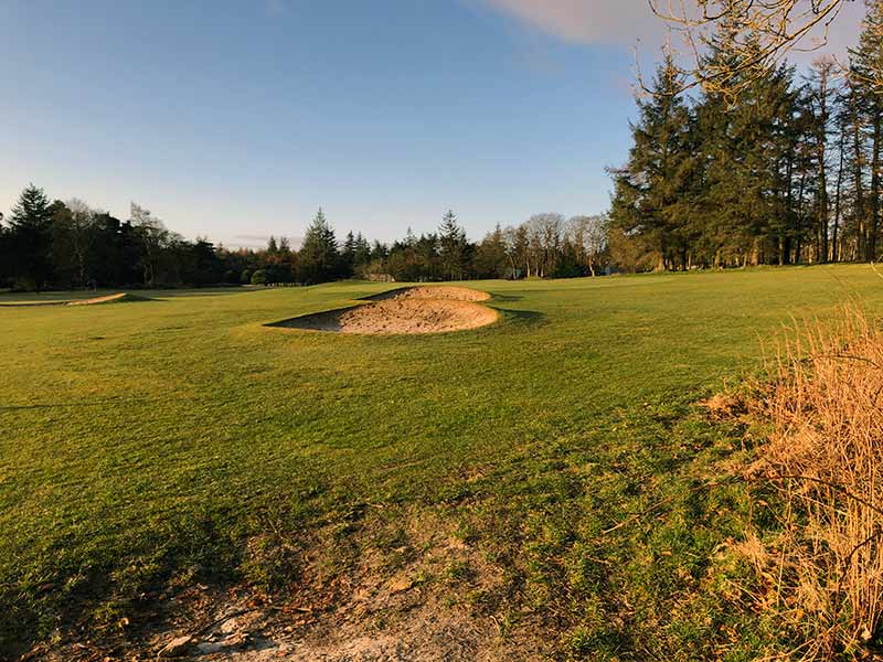  HazelHead Trees