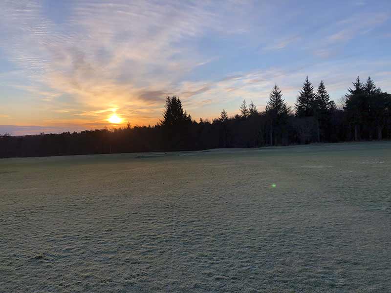  HazelHead Trees