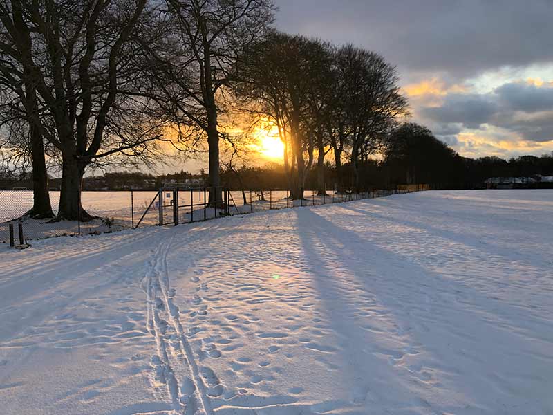  HazelHead Trees