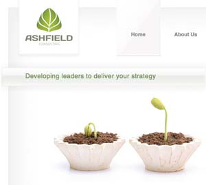 Ashfield Consulting